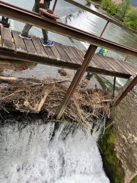 čistiolna akcija 2024-1